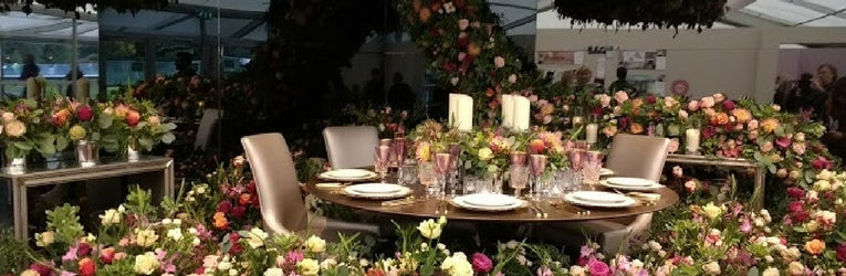 Highlights from Decorex 2017