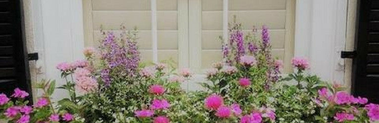 Free flowers for all customers to celebrate RHS Chelsea Flower Show