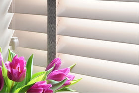 BLINDS